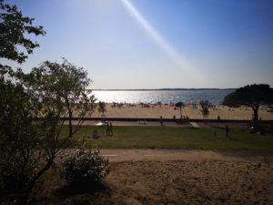 0a429cfa-5f42-4a80-b4e0-8e92dd0a46b5