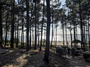 0b763d6c-983d-48c2-add4-bd83f55f5afd